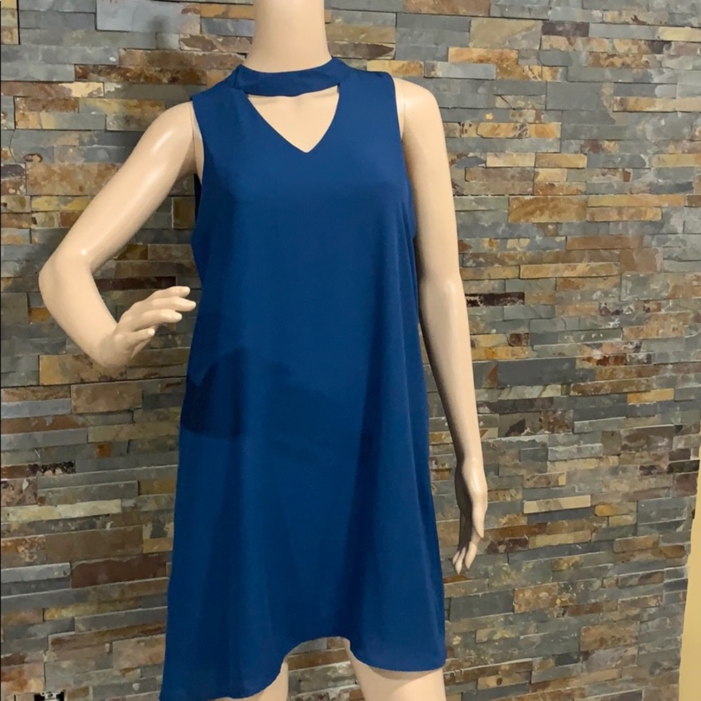 Pink Rose teal blue dress